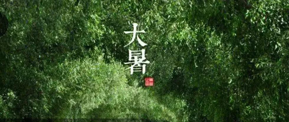 节气是什么意思（节气为什么叫节气）