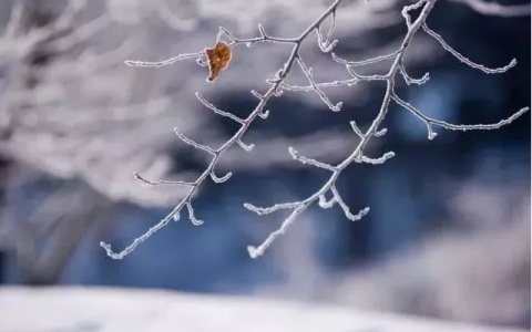 24节气小雪节气农谚谚语大全