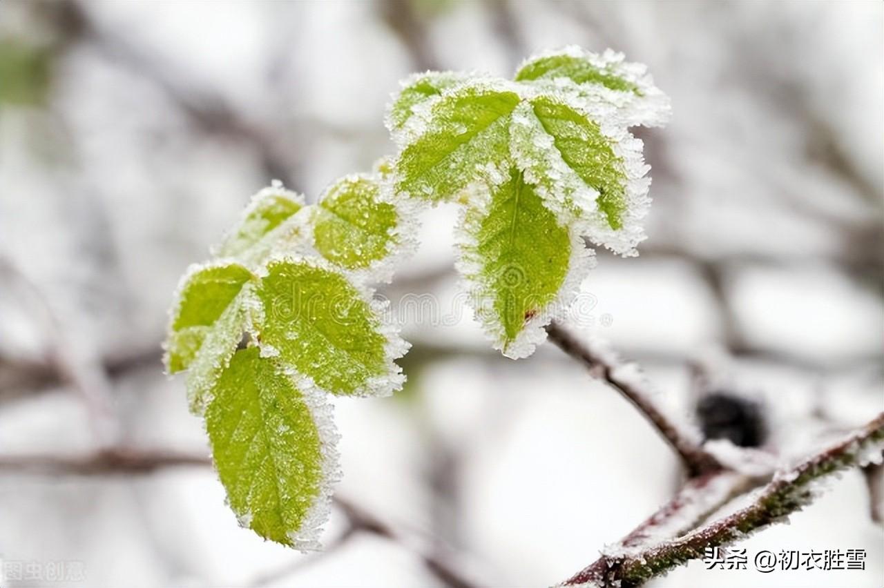 古人描写小雪节气的经典诗句