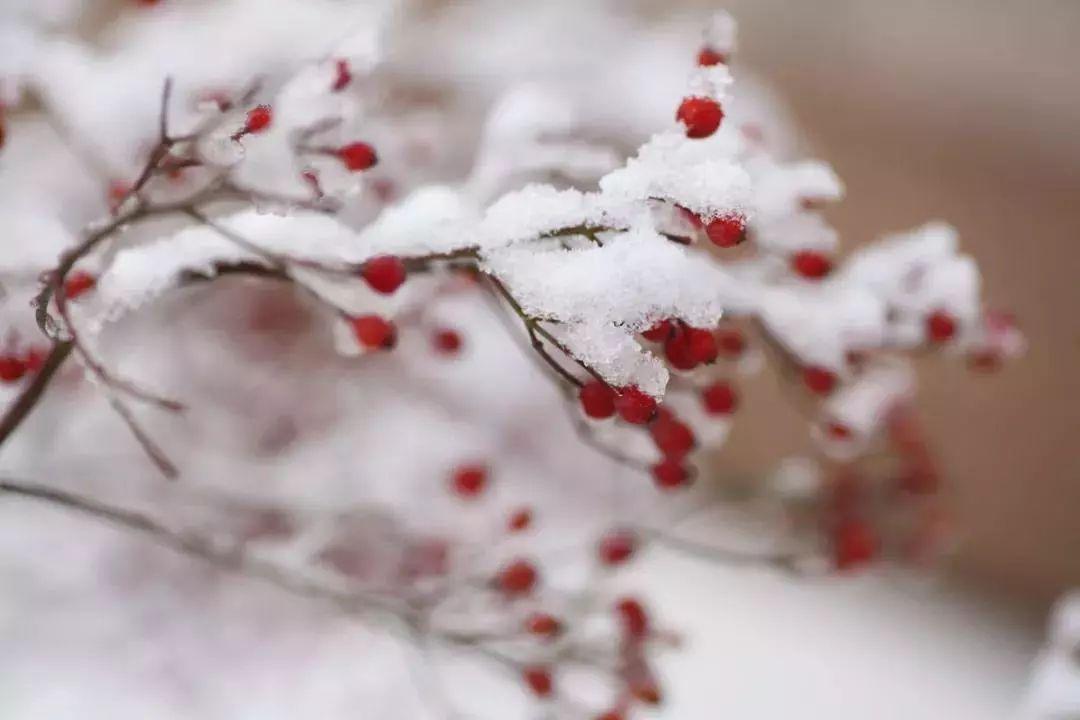 大雪节气习俗有哪些（24节气大雪节气有啥讲究）