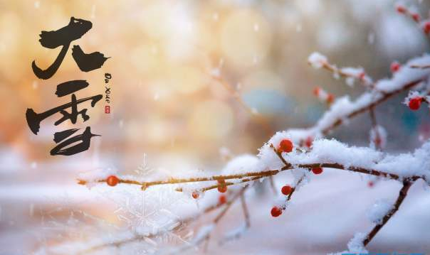 大雪节气谚语顺口溜大全（大雪节气的农谚谚语大全）