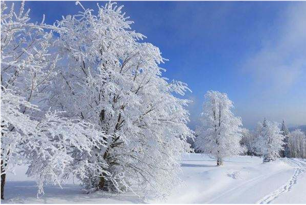 大雪节气谚语顺口溜大全（大雪节气的农谚谚语大全）