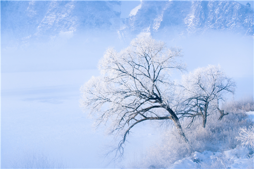 雷打雪人吃铁是什么意思？具体有什么预兆？-第1张图片-腾赚网