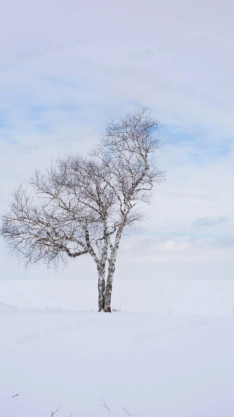 大雪节气有什么风俗和禁忌（大雪节气吃什么最好）