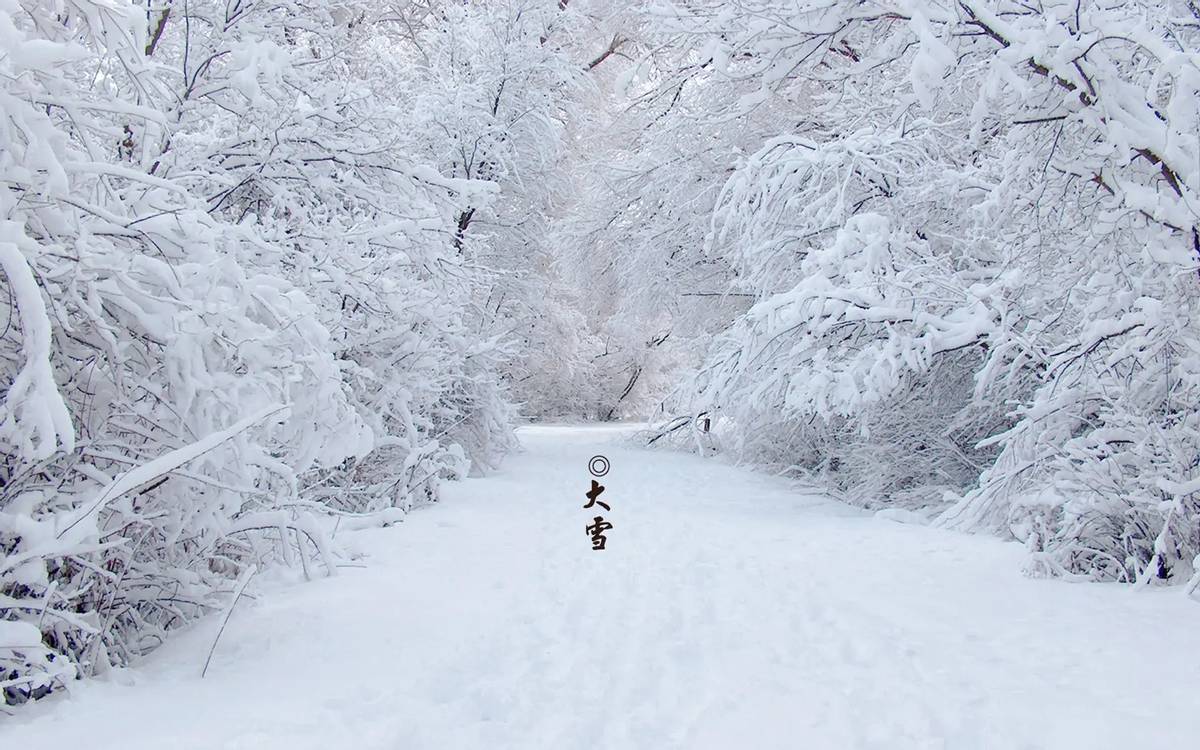 大雪节气有什么风俗和禁忌（大雪节气吃什么最好）