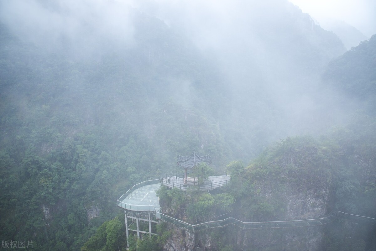 初中满分作文《小楼赏雨》赏心悦目的景物，优美动人的散文