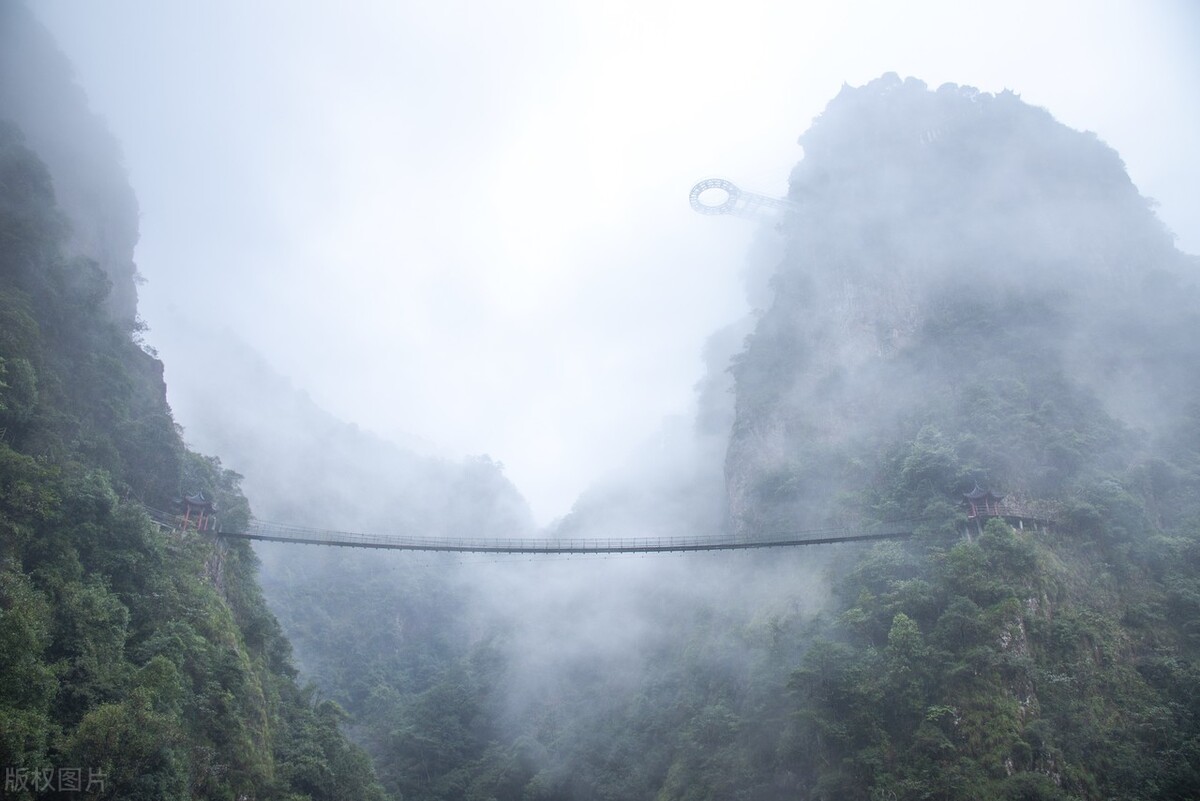 初中满分作文《小楼赏雨》赏心悦目的景物，优美动人的散文