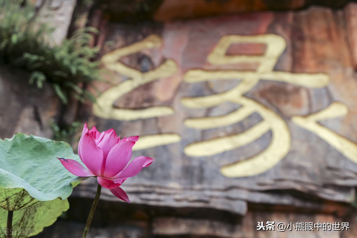 烂柯棋缘：花开花谢，缘起缘落，近期难得的非升级流古典仙侠小说