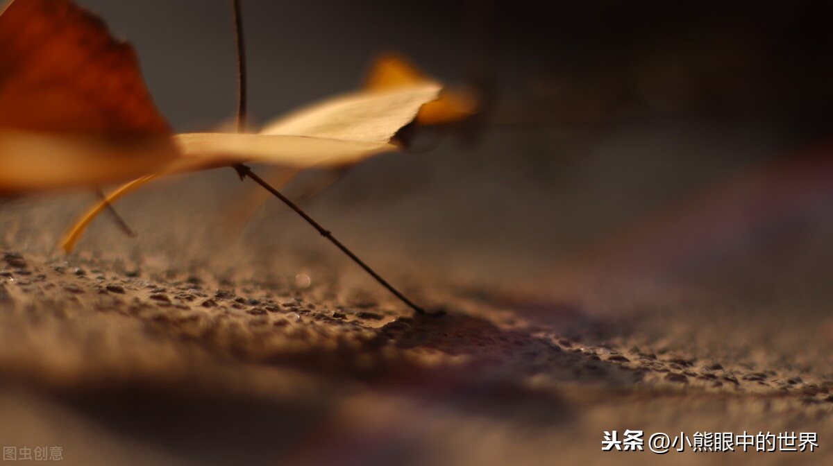 烂柯棋缘：花开花谢，缘起缘落，近期难得的非升级流古典仙侠小说