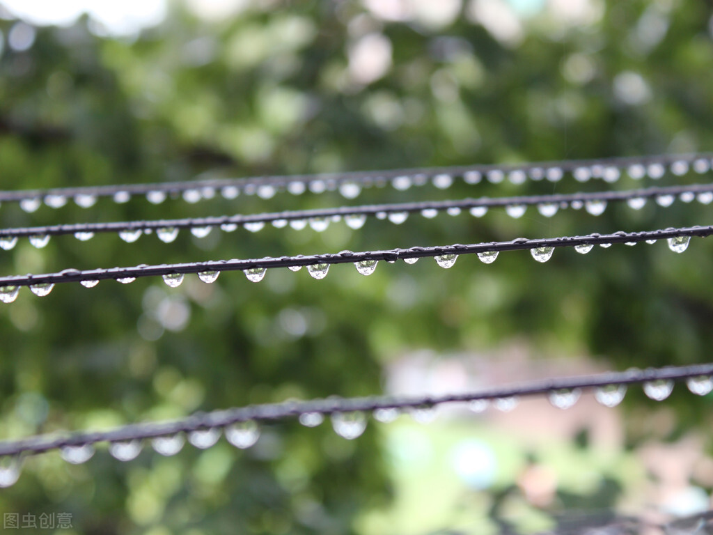 初中满分作文《雨夜思绪》听一场细雨，留一段回忆