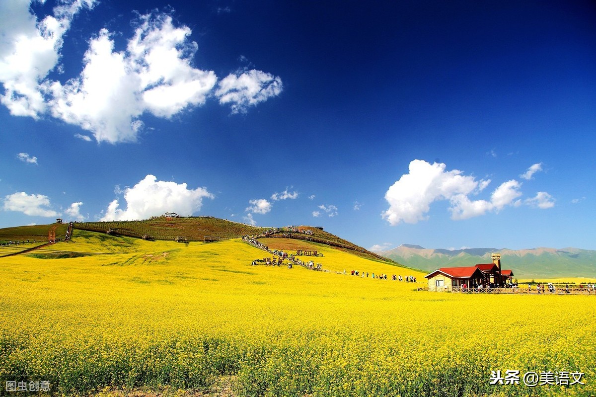 优秀习作---《田野即景》