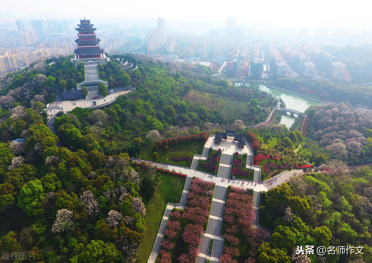 三年级学生习作“我们眼中的缤纷世界”，篇篇精彩