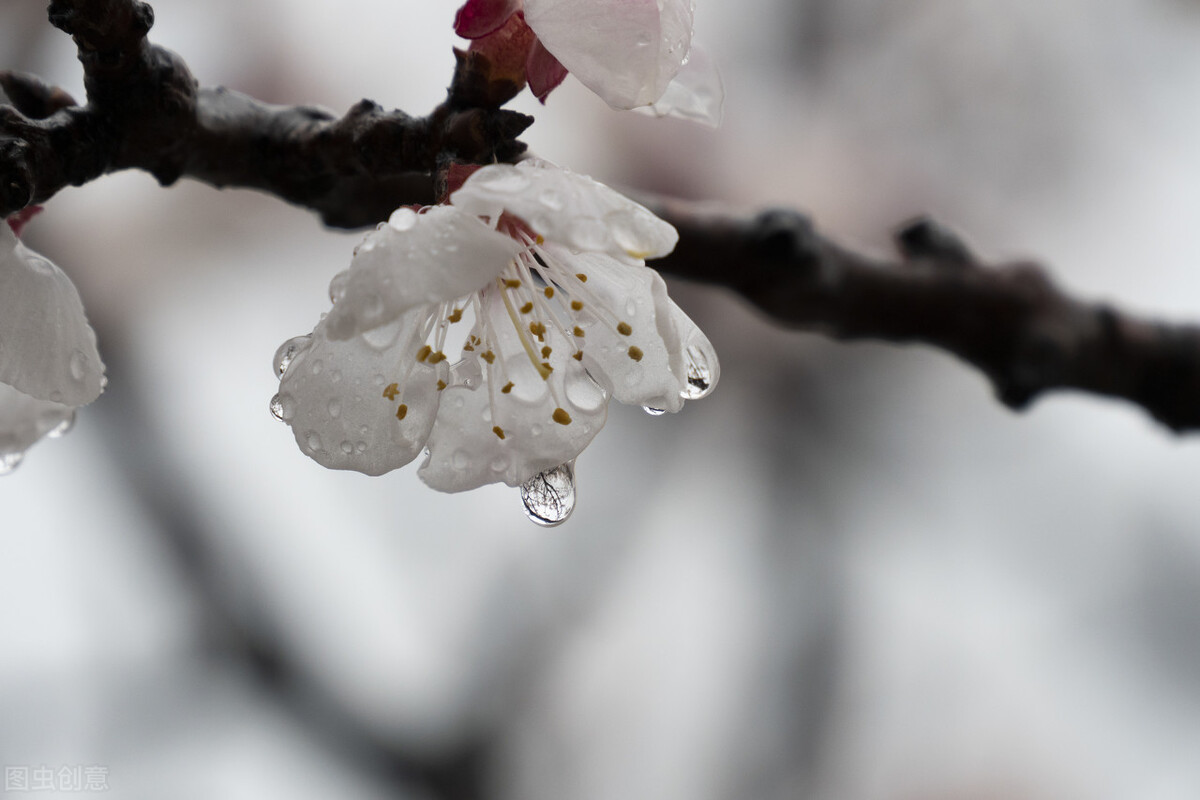 初中满分作文《雨中》雨中漫步，欢乐长驻