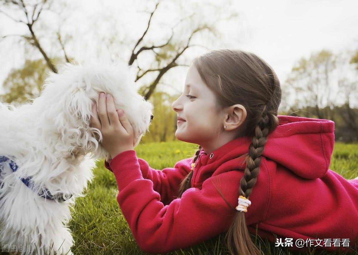 这就是我作文400字小学习作《这就是我》