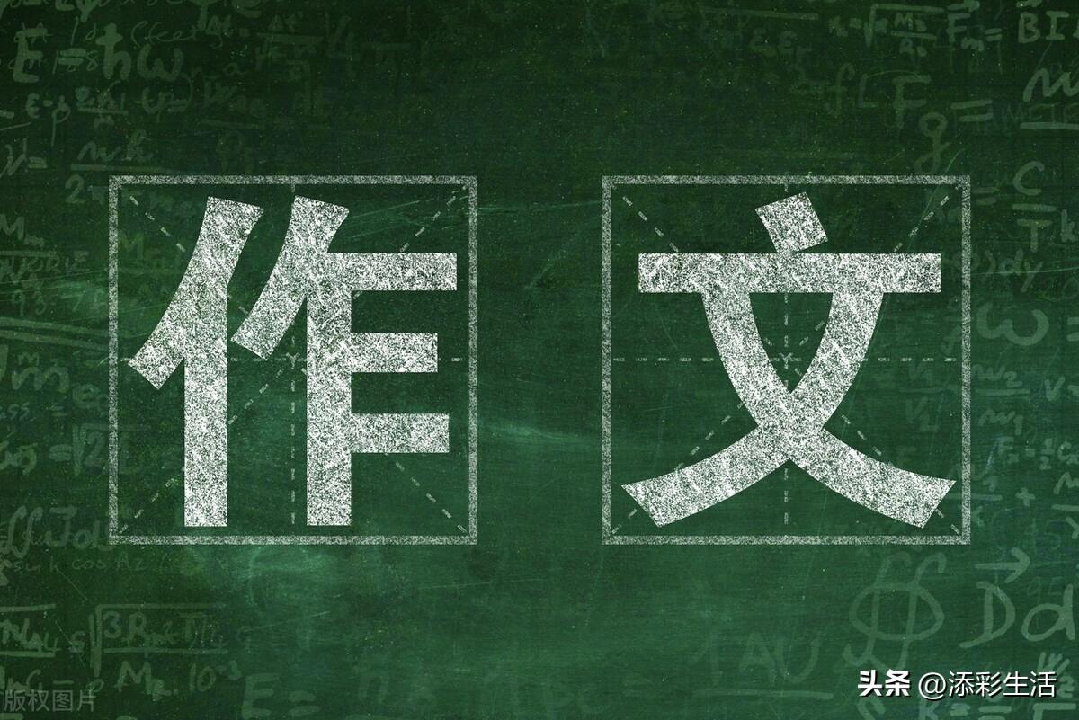 以温暖为题的作文7篇中考满分《不期而遇的温暖》