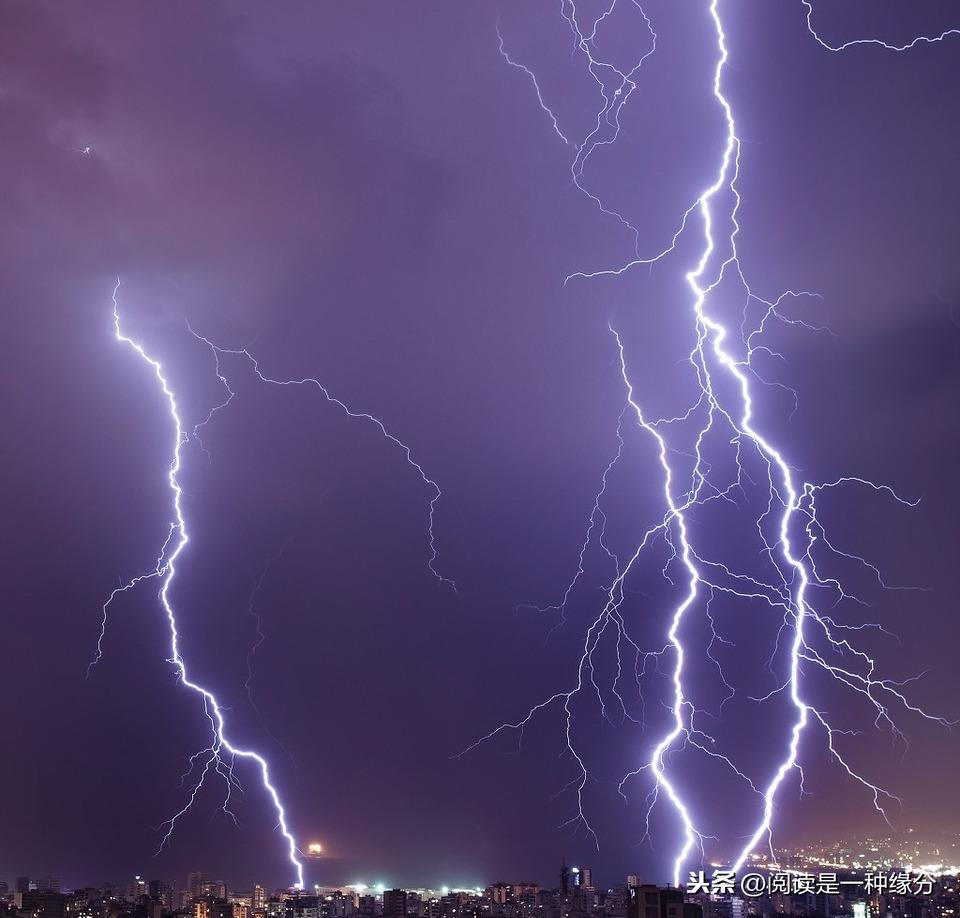 雷雨读后感（人性的怯懦之面）