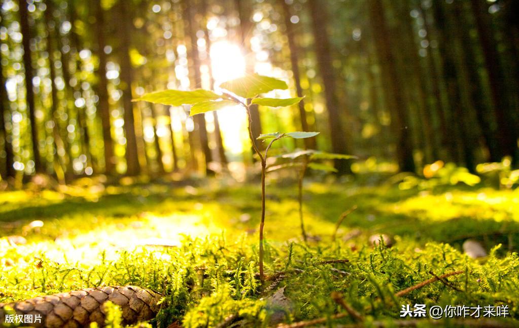 淡定的人生不寂寞读后感（静守时光 以待流年）