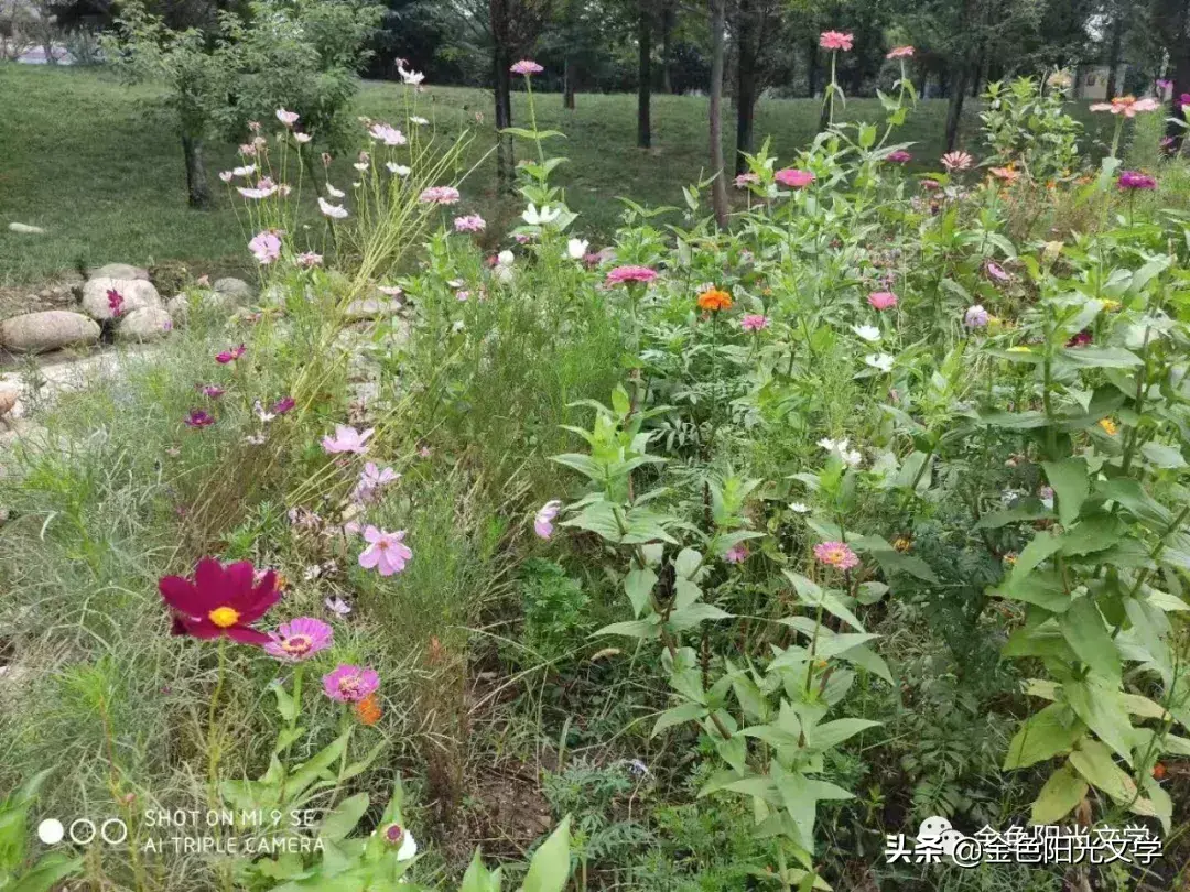 推荐一个好地方作文3篇（小学优秀范文）