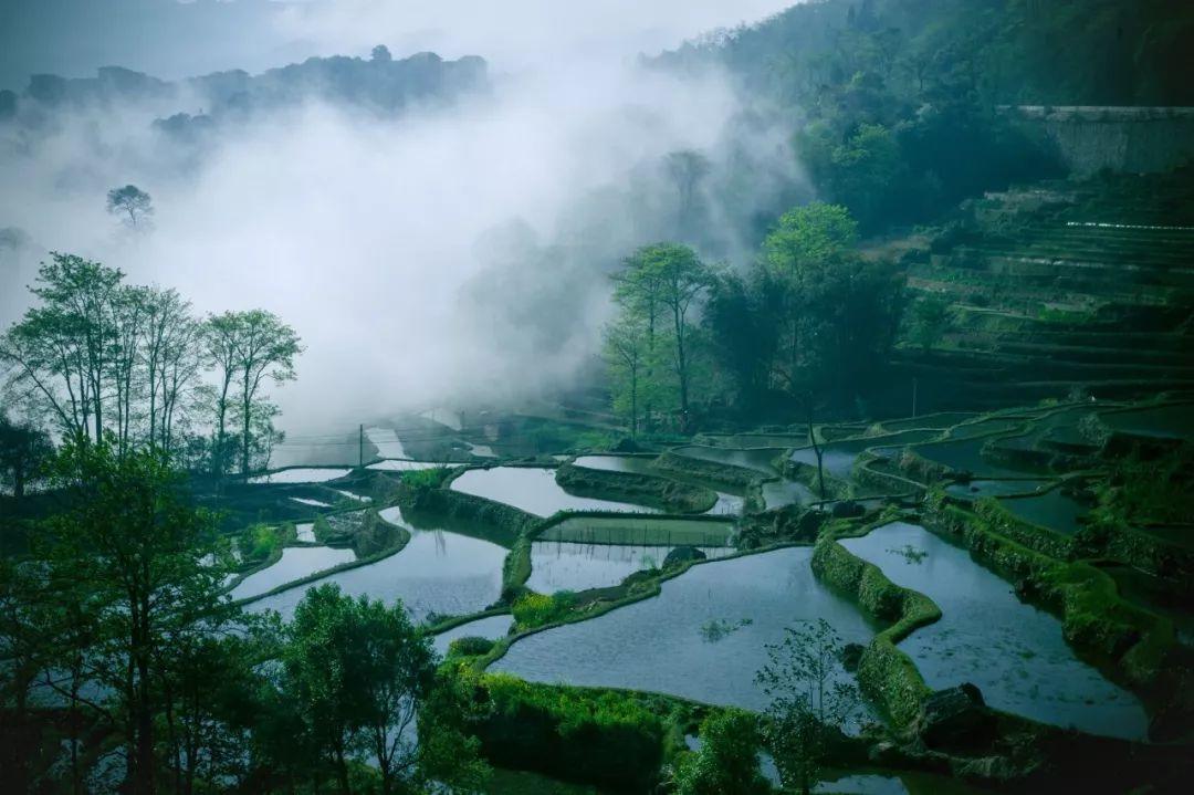 村居古诗9首，田园生活最美丽