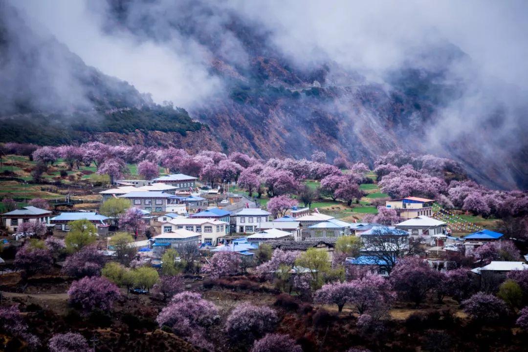 村居古诗9首，田园生活最美丽