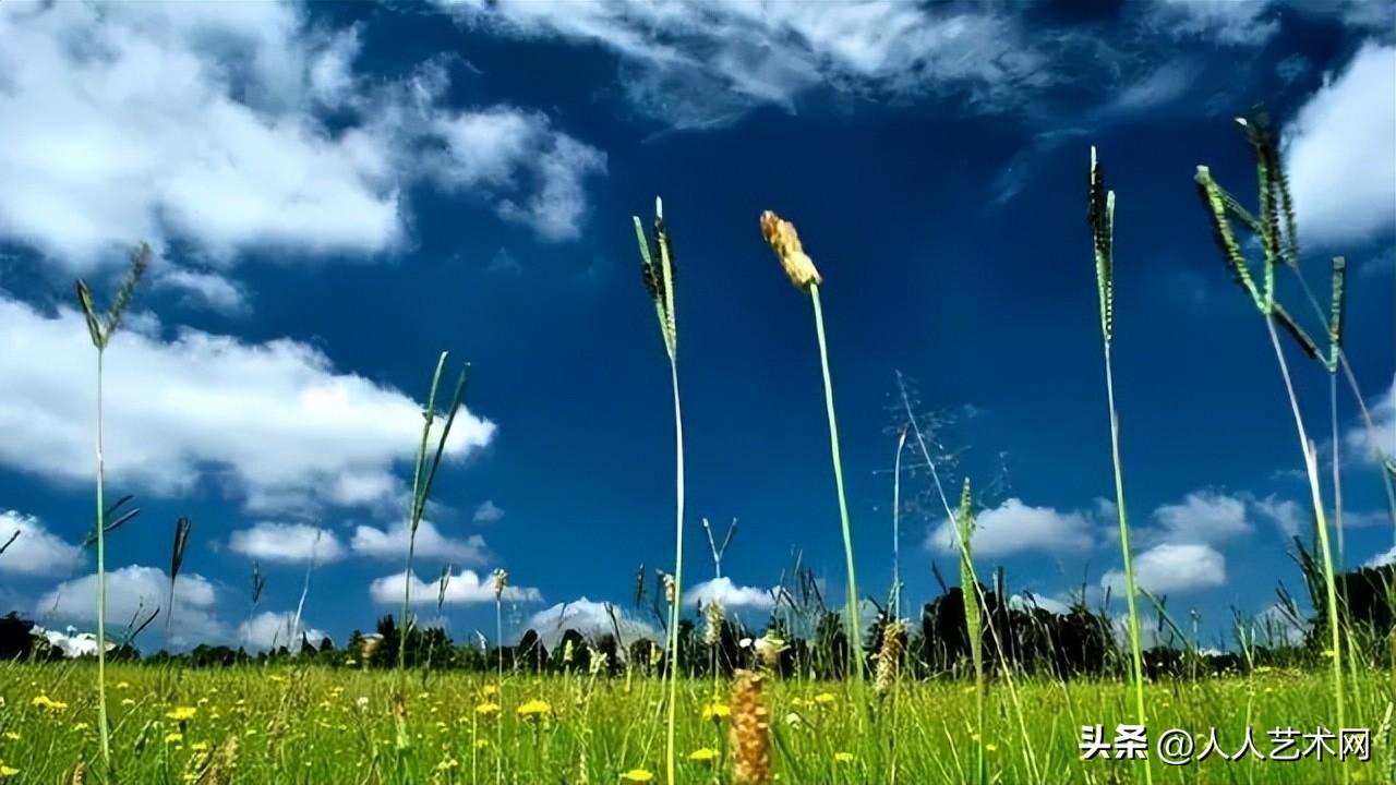 中秋节的祝福20句，好听不俗气