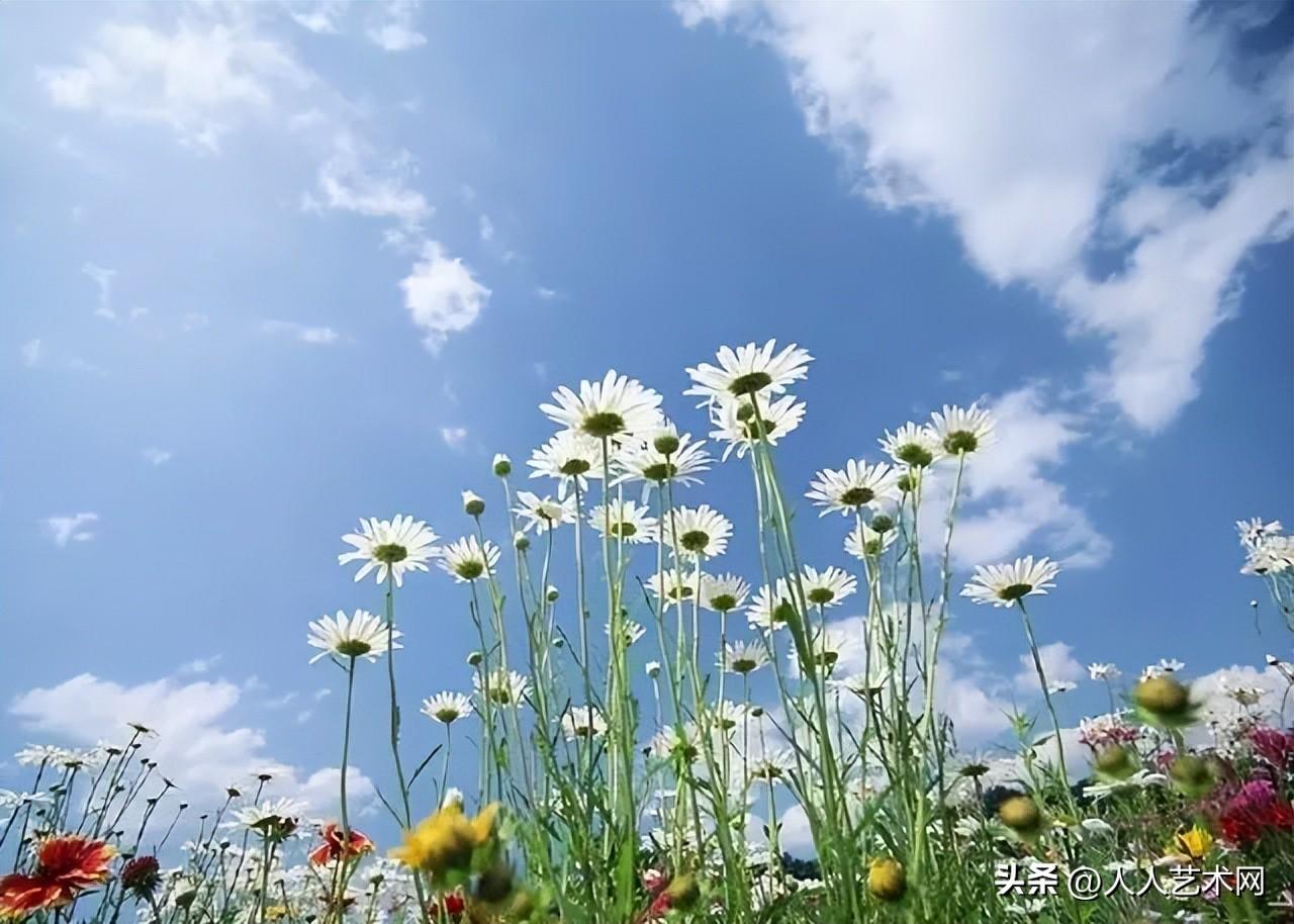 中秋节的祝福20句，好听不俗气