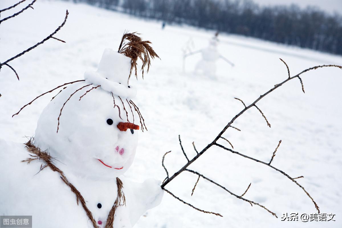 即景作文500字小学习作《雪中即景》