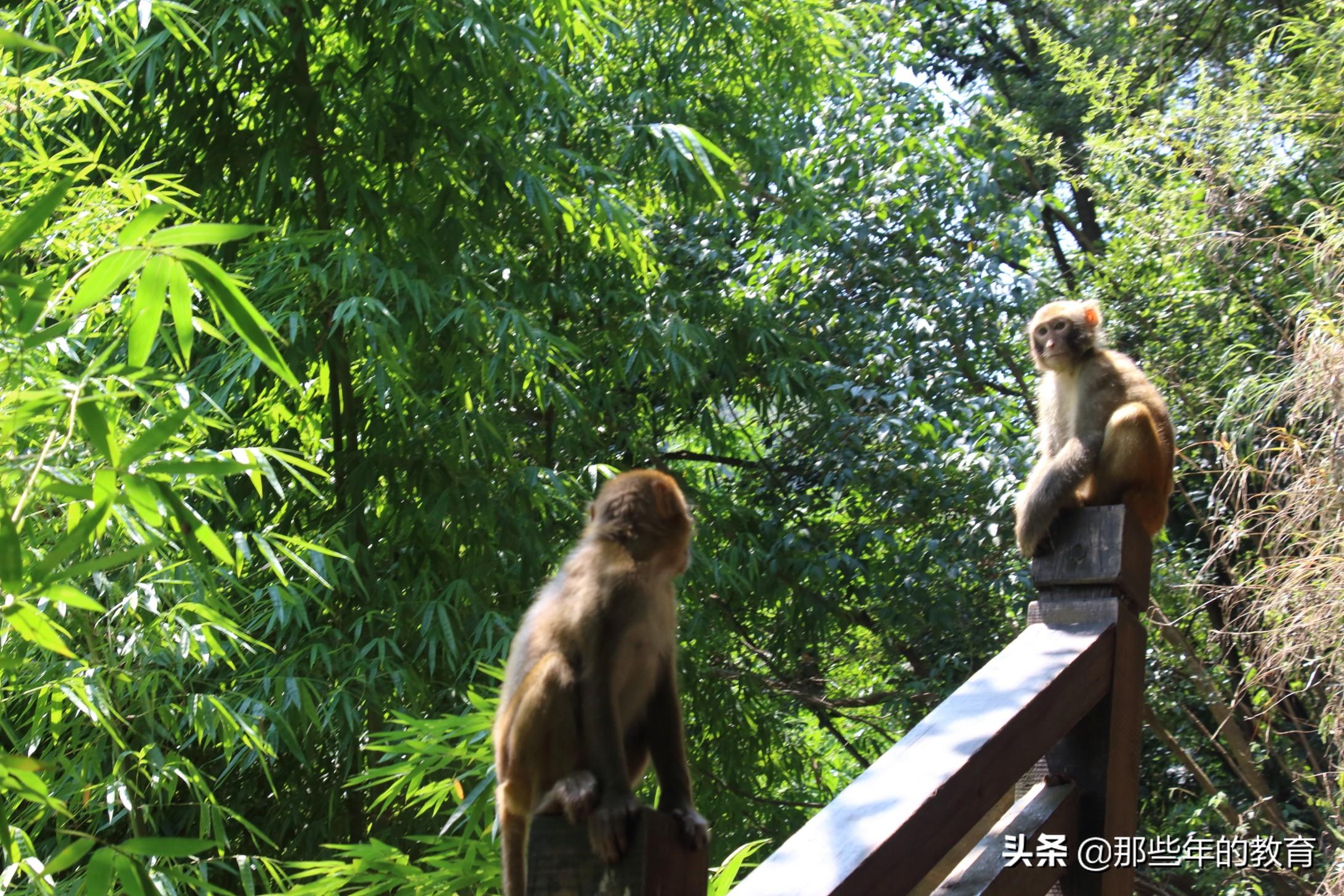 那一次我笑了作文500字初中习作（那一次，我笑了）