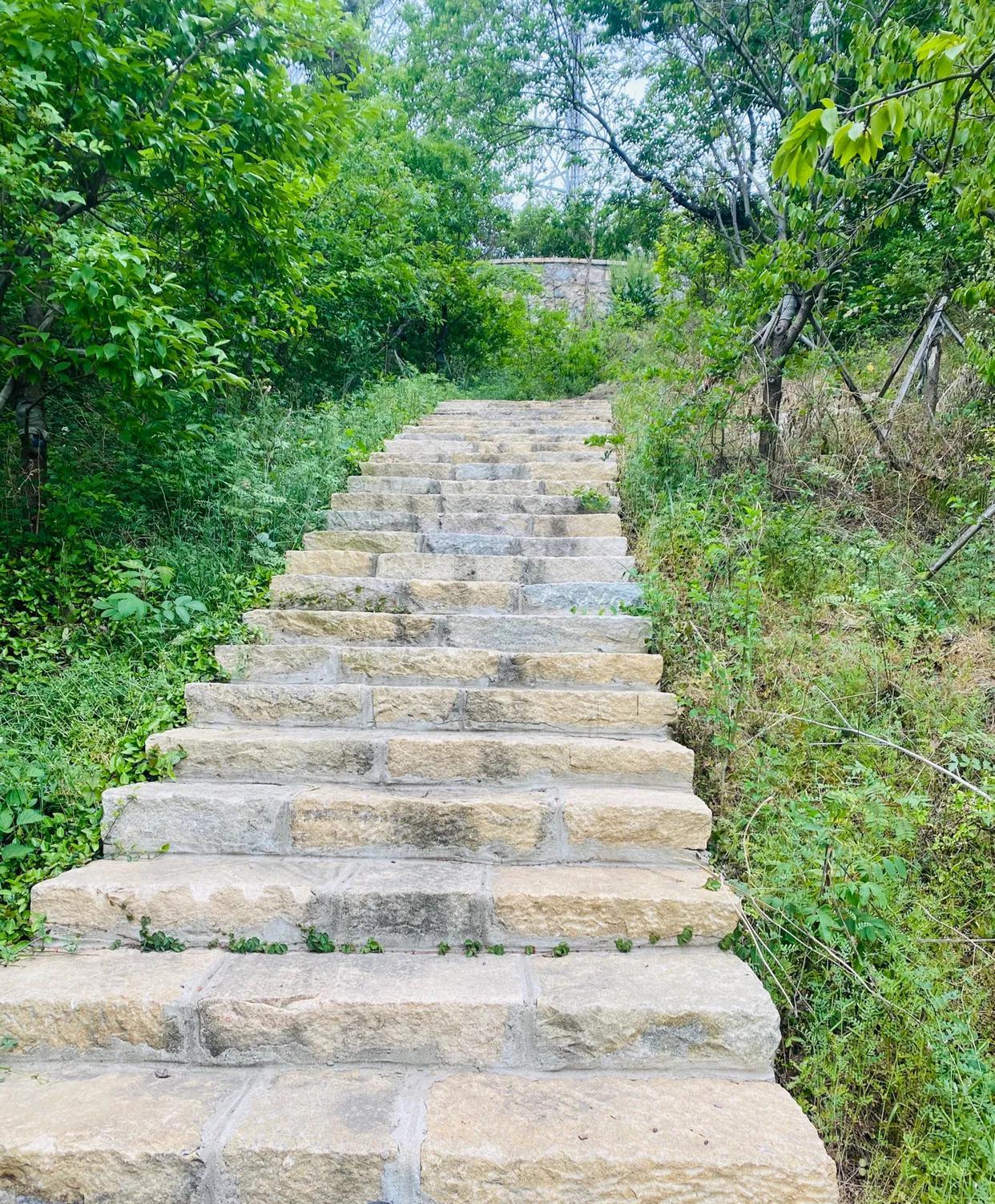 登山作文600字（初中优秀范文）