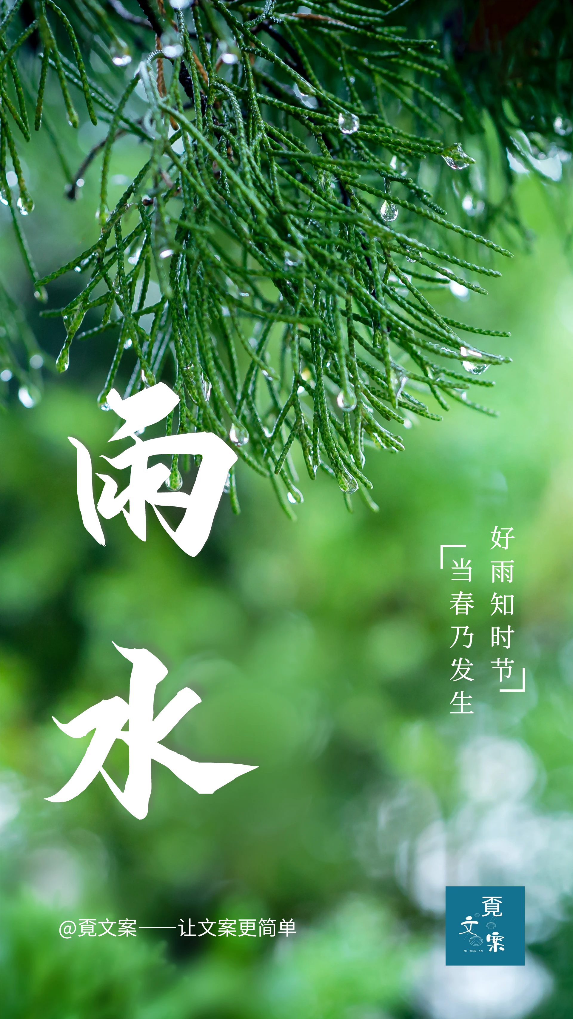 雨水文案15句，风来听风，雨来听雨