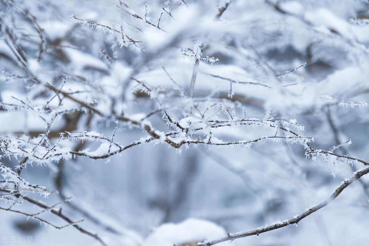 描写雪景的唯美句子25句，总有一句让你心仪