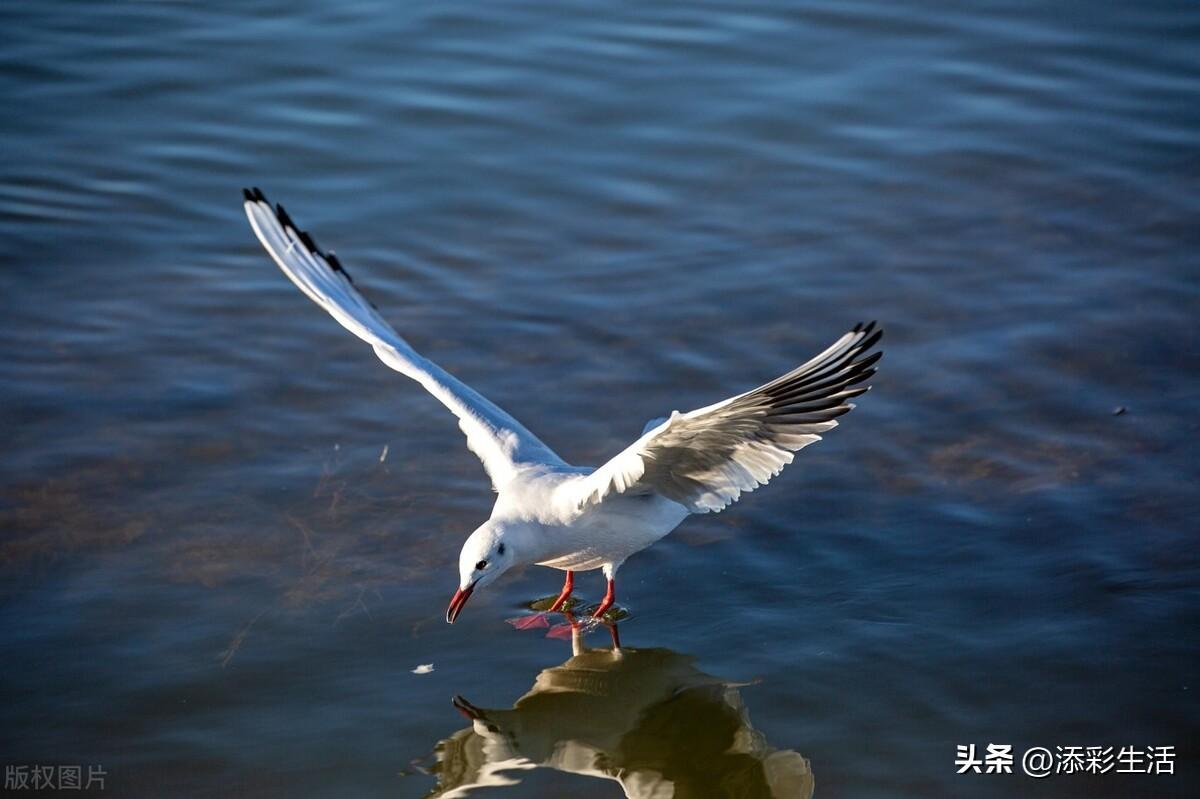 瞬间作文汇总4篇中考满分（精彩瞬间）