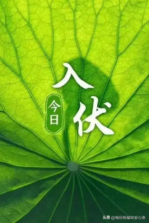 入伏祝福语20句，愿君心静如水，清凉一夏