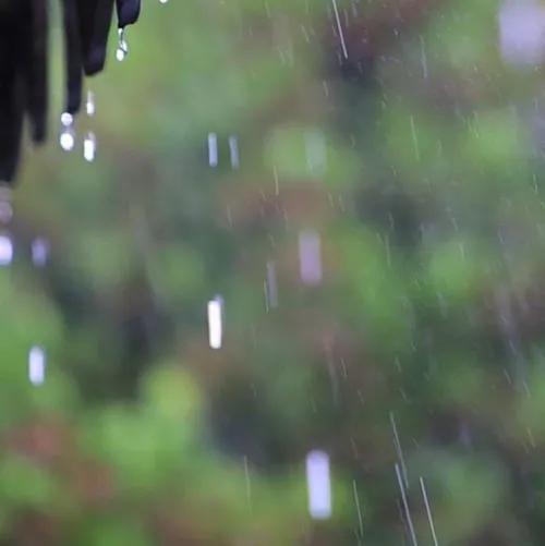 关于雨的句子25句，有人在赏雨，有人困雨中