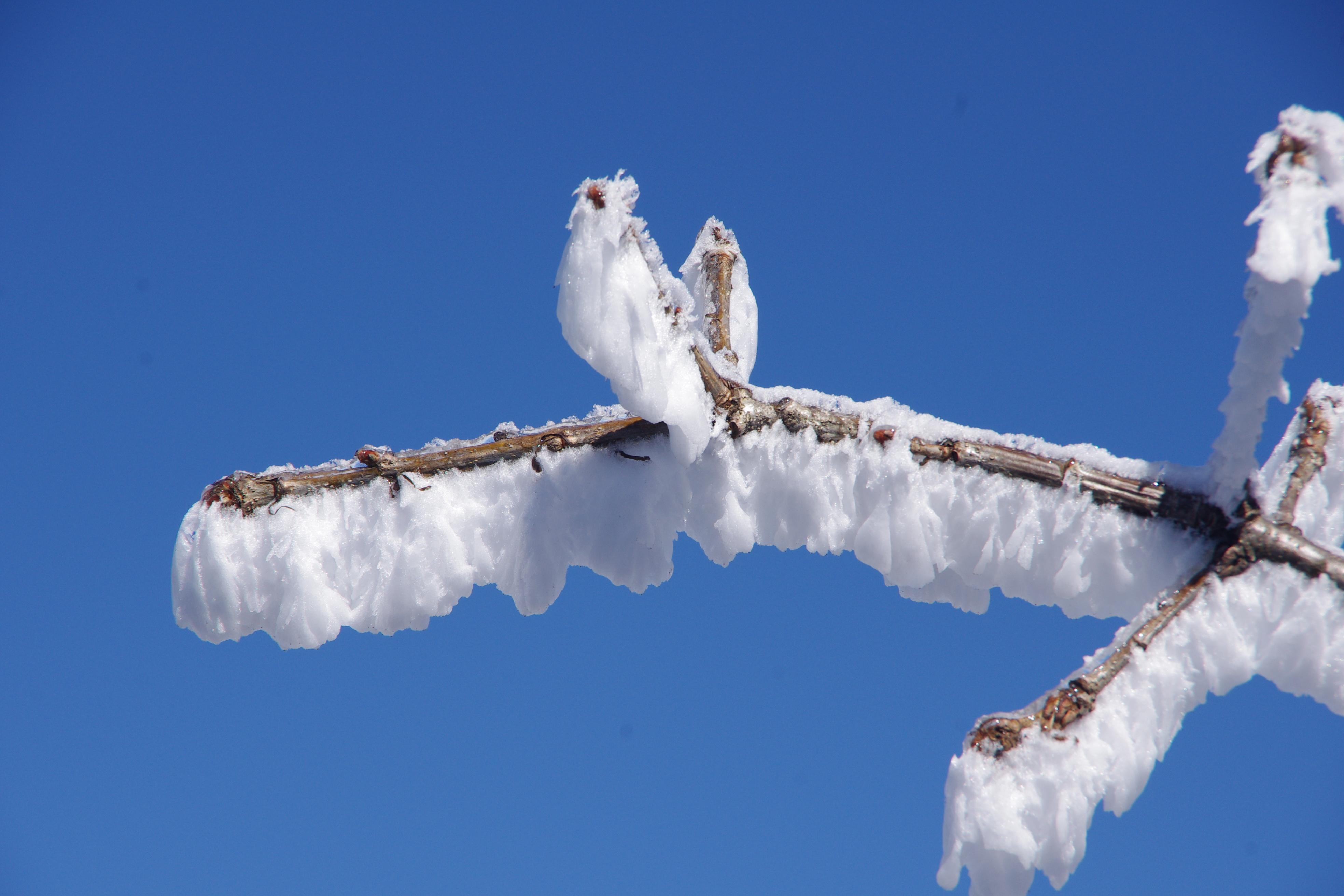 形容雪景的优美句子20句，总有一句让你心仪