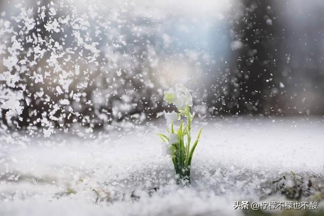 高情商下雪幽默句子10句，简单又温暖