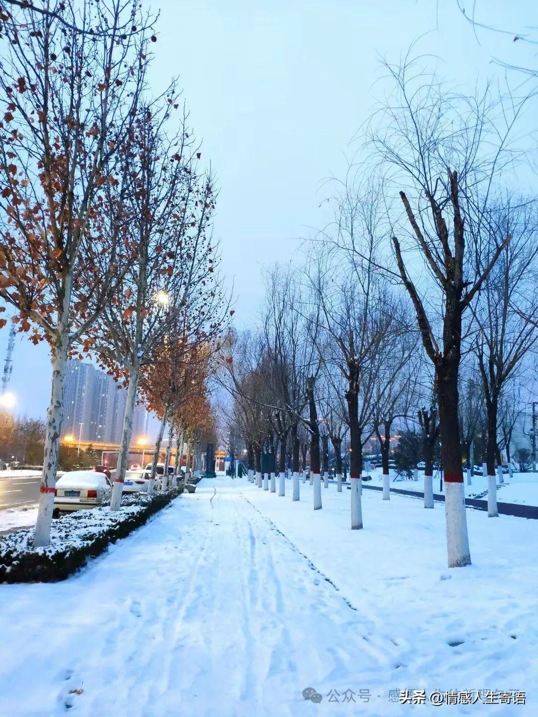 雪的句子12句，雪景的唯美心情短句