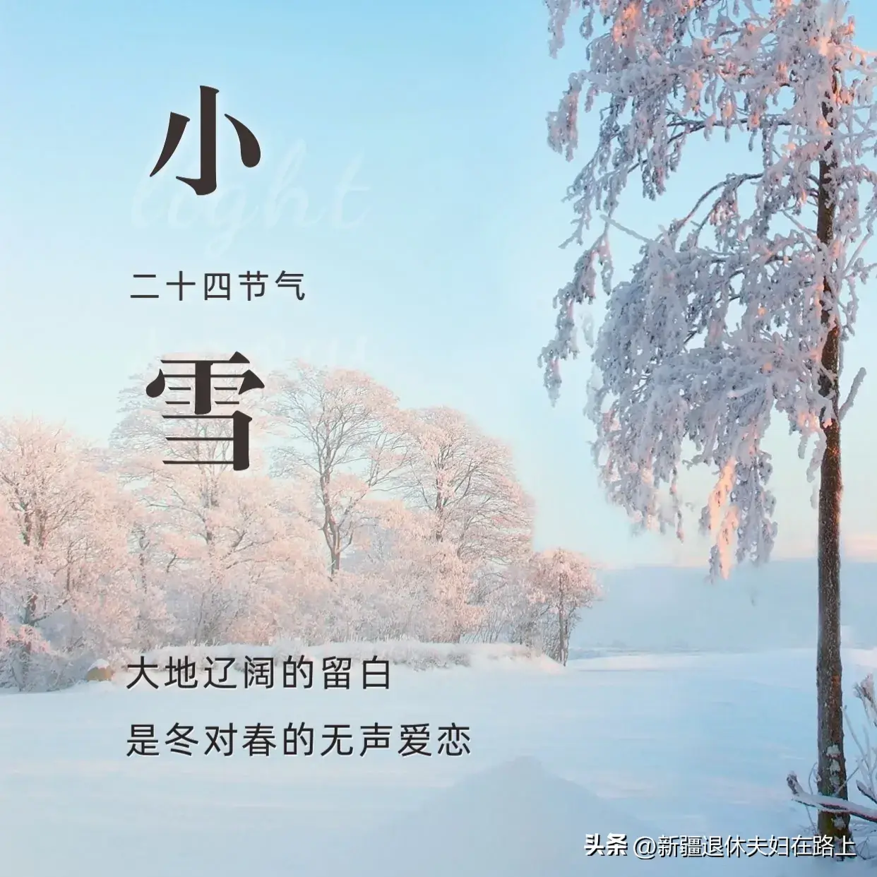 小雪节气语录12句，落雪为念 愿君冬安