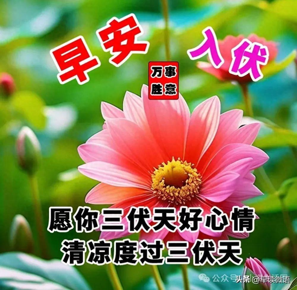 入伏祝福语10句，愿君心静如水，清凉一夏