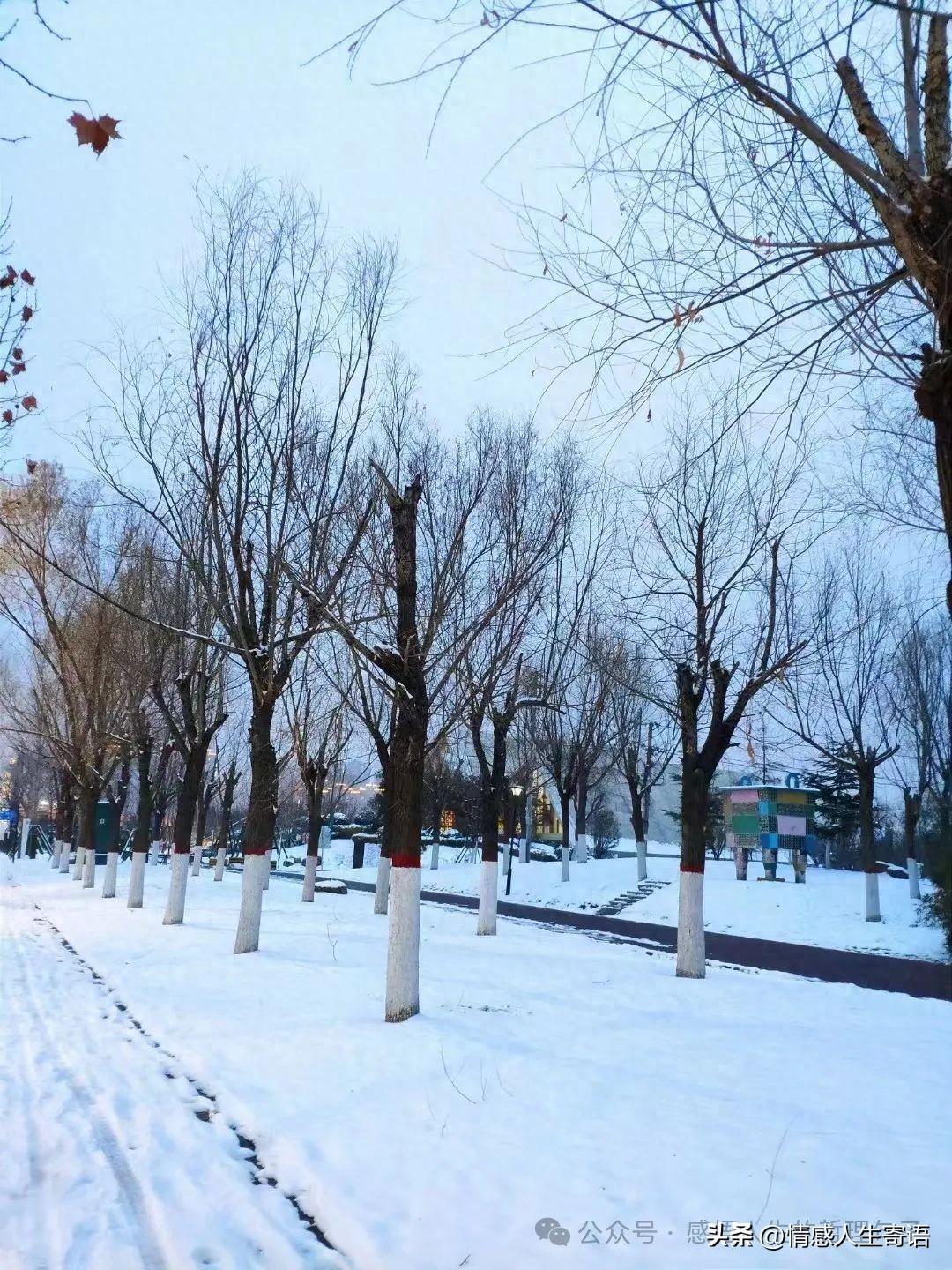 欣赏雪景的句子12句，一起赏诗意雪景吧!