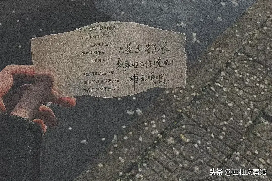 伤感文案24句，总有一句适合你