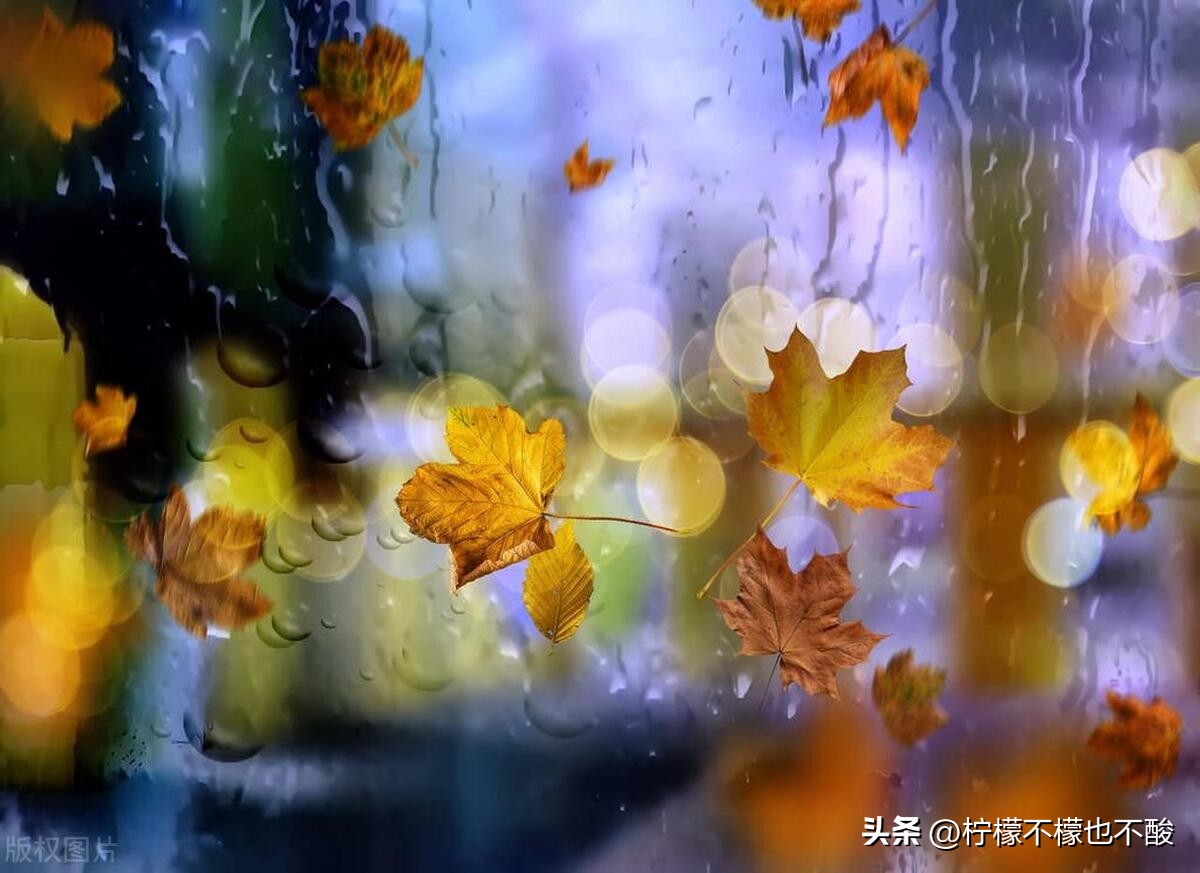 一场秋雨适合发朋友圈的句子10句，句句唯美