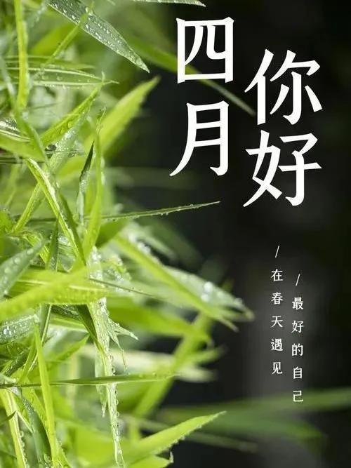 四月你好文案15句，人间最美四月天