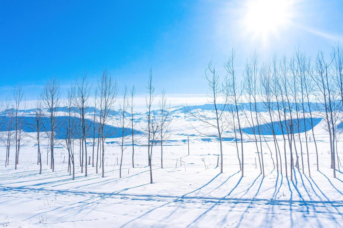 雪景的句子唯美简短20句，冬雪释寒意，温情暖浮生