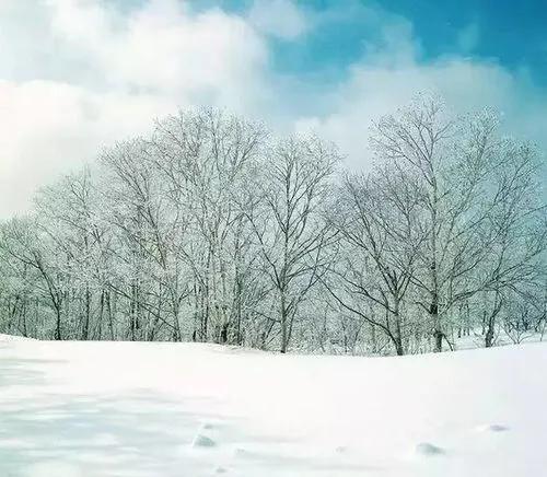 下雪感悟人生的句子17句，愿生活简单如雪