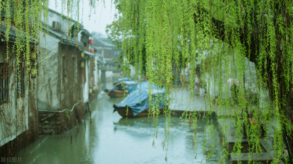 描写春雨的诗句100句，好雨知时节，当春乃发生