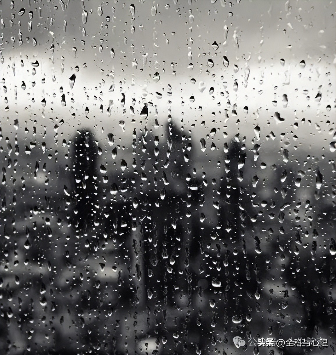 关于雨的句子15句，有人在赏雨，有人困雨中